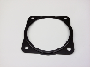 Fuel Injection Throttle Body Mounting Gasket